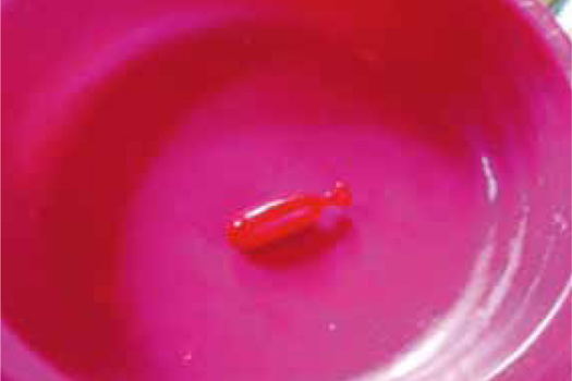 Figure 2. Product being offered, shown as a whole capsule as offered in acceptance test.