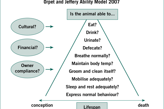 Figure 1. The Orpet and Jeffery Ability Model (2007).