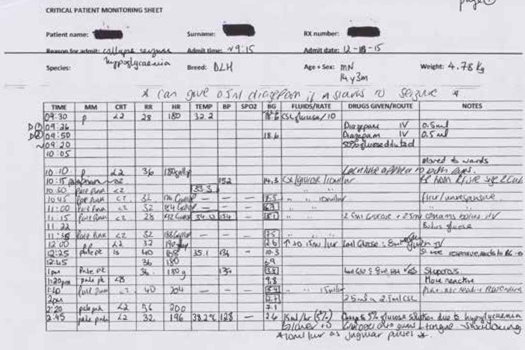 Figure 1. Critical monitoring sheet.