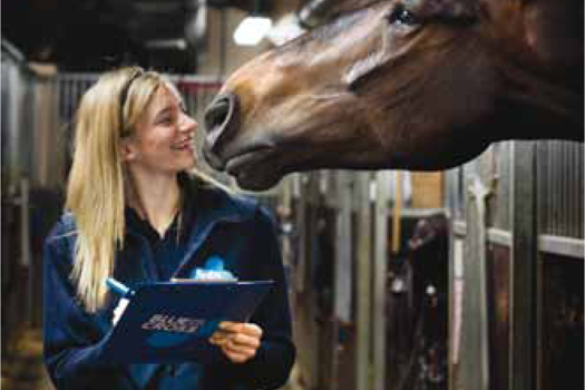 Taking part in the National Equine Health Survey will help secure a healthier future for horses.