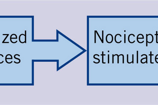 Figure 1. The pain pathway.