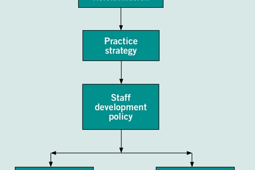 Figure 1. Aligning staff development and training with practice strategy