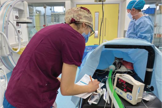 Figure 2. Surgical Safety checklist in use at time out.