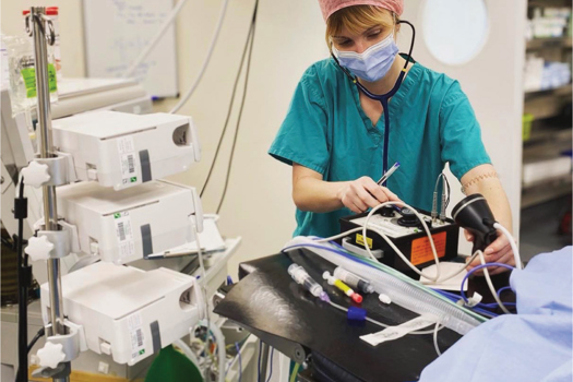 Figure 1. Multimodal anaesthesia, or total intravenous anaesthesia, can be administered by syringe drivers at set rates while being closely monitored by appropriately trained personnel.