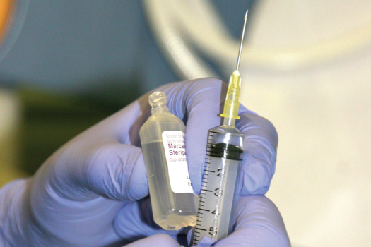  Professionals in the veterinary environment have daily access to sharps.